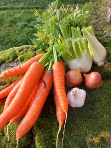 La Ferme de la Motte