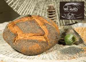 La ferme des Agités